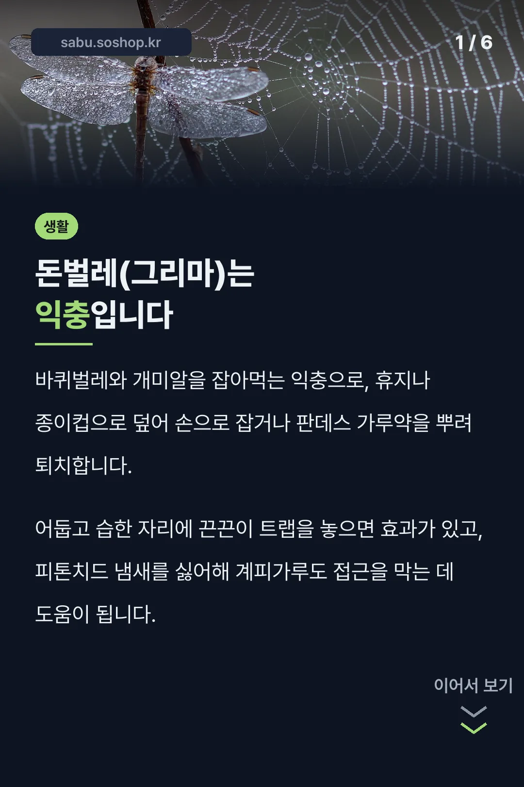 돈벌레(그리마)는 익충입니다