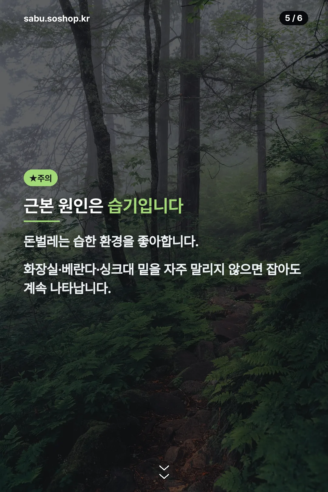 습기가 근본 원인