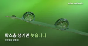 깍지벌레 살충제 — 왁스층 때문에 시기를 놓치면 소용없습니다