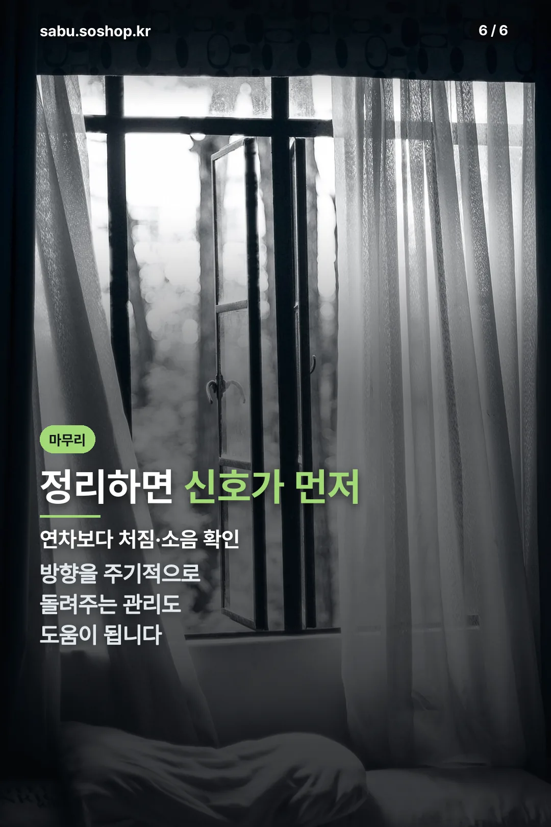 정리 및 관리 팁