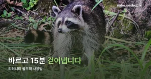 리터니티 율무팩 사용법 — 공식 안내 다섯 단계와 10분 15분 차이