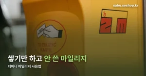 티머니 마일리지 사용법 정리 썸네일