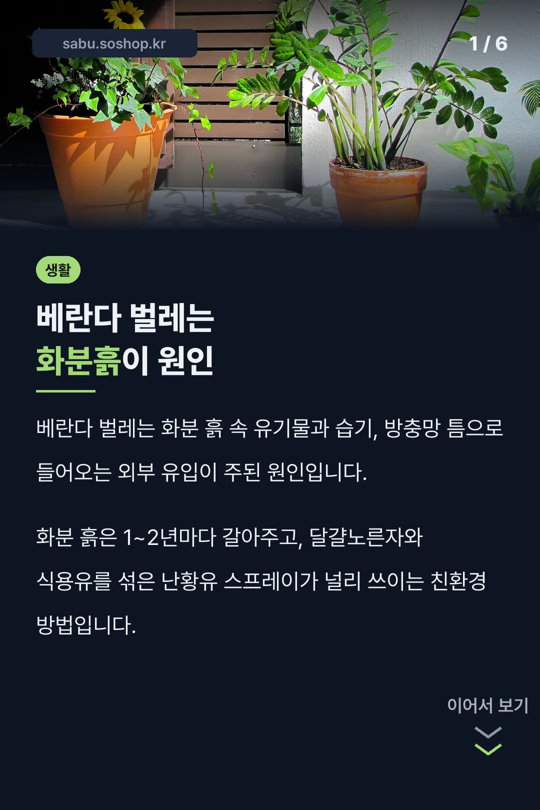 베란다 벌레는 화분흙이 원인