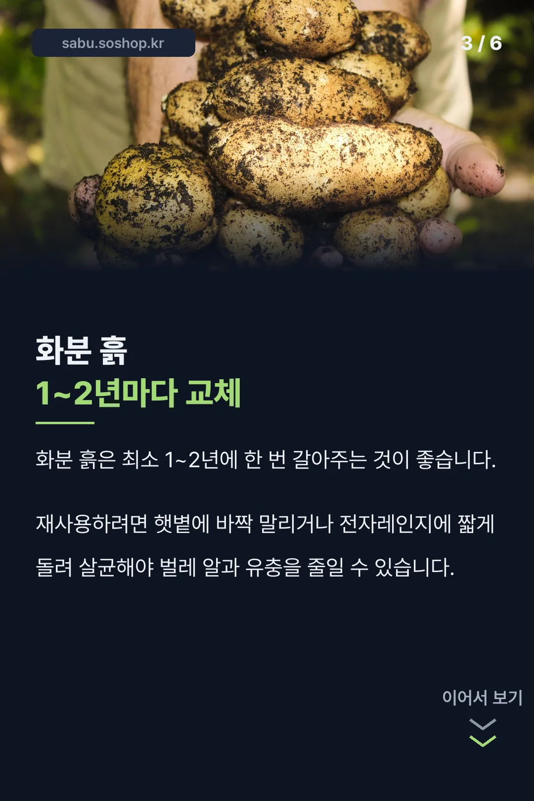 화분 흙 교체 주기