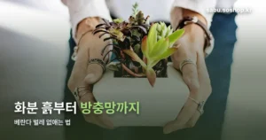 베란다 벌레 정리 썸네일
