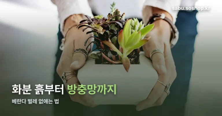 베란다 벌레 정리 썸네일