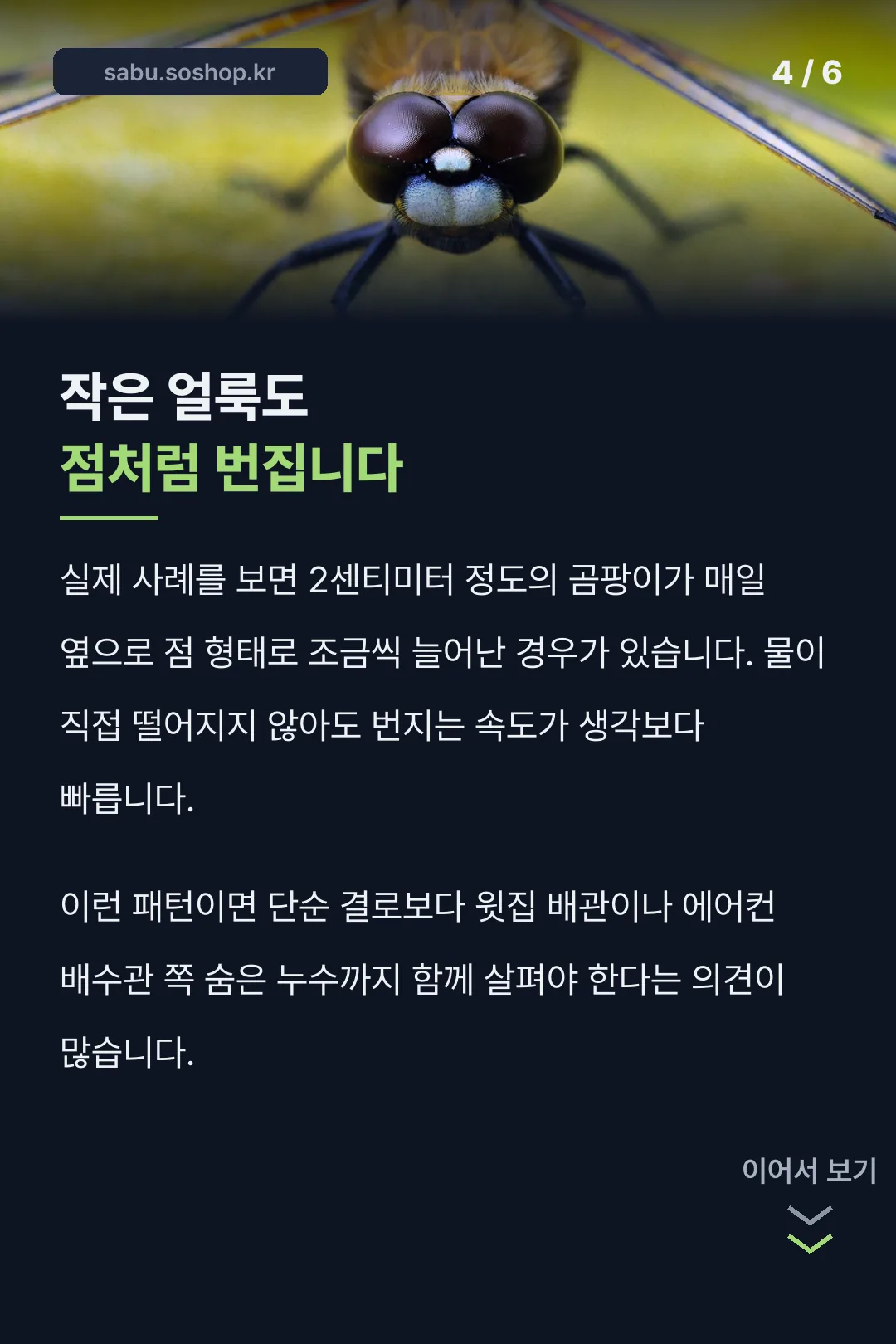 작은 얼룩이 번지는 속도 사실