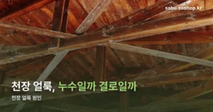 천장 얼룩 원인 — 누수와 결로, 색깔로 구분하는 법