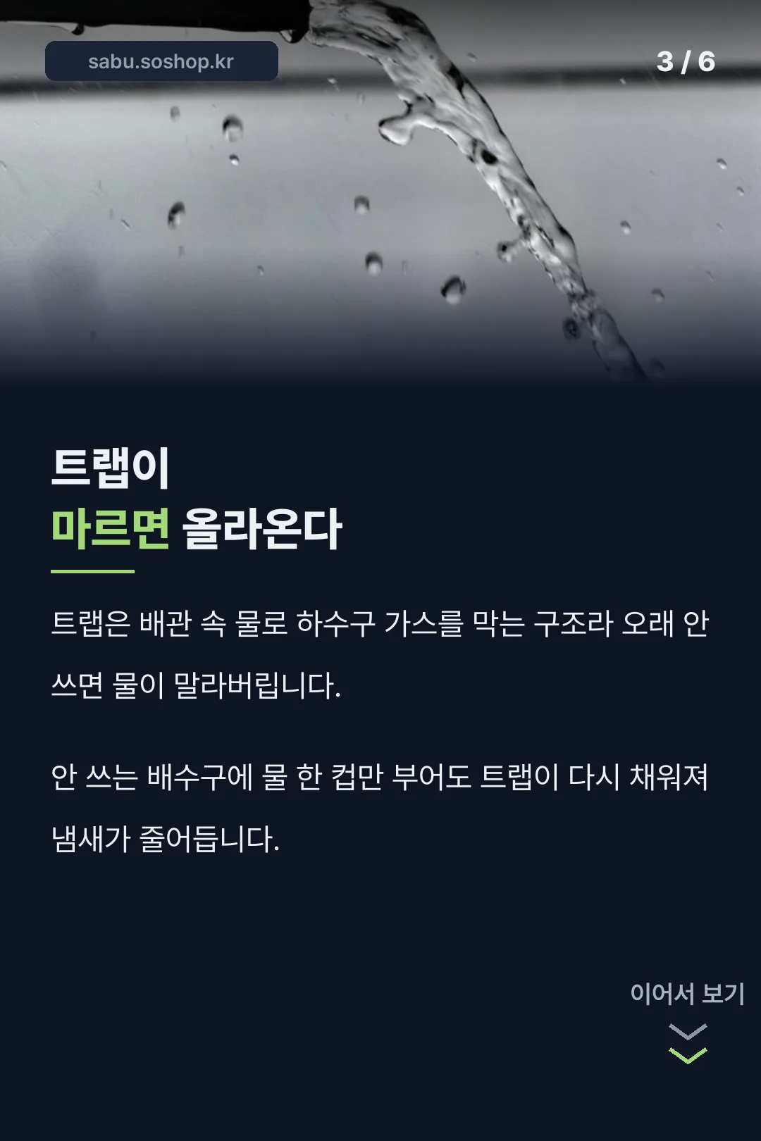 트랩 마름 해결