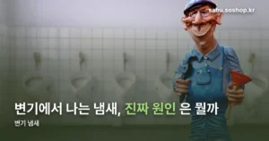변기 냄새, 원인 네 가지부터 구분하기